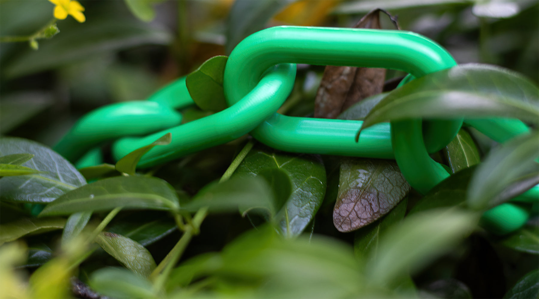 A Bright Future with Innovative Plastics: How Mr. Chain is Leading the Way