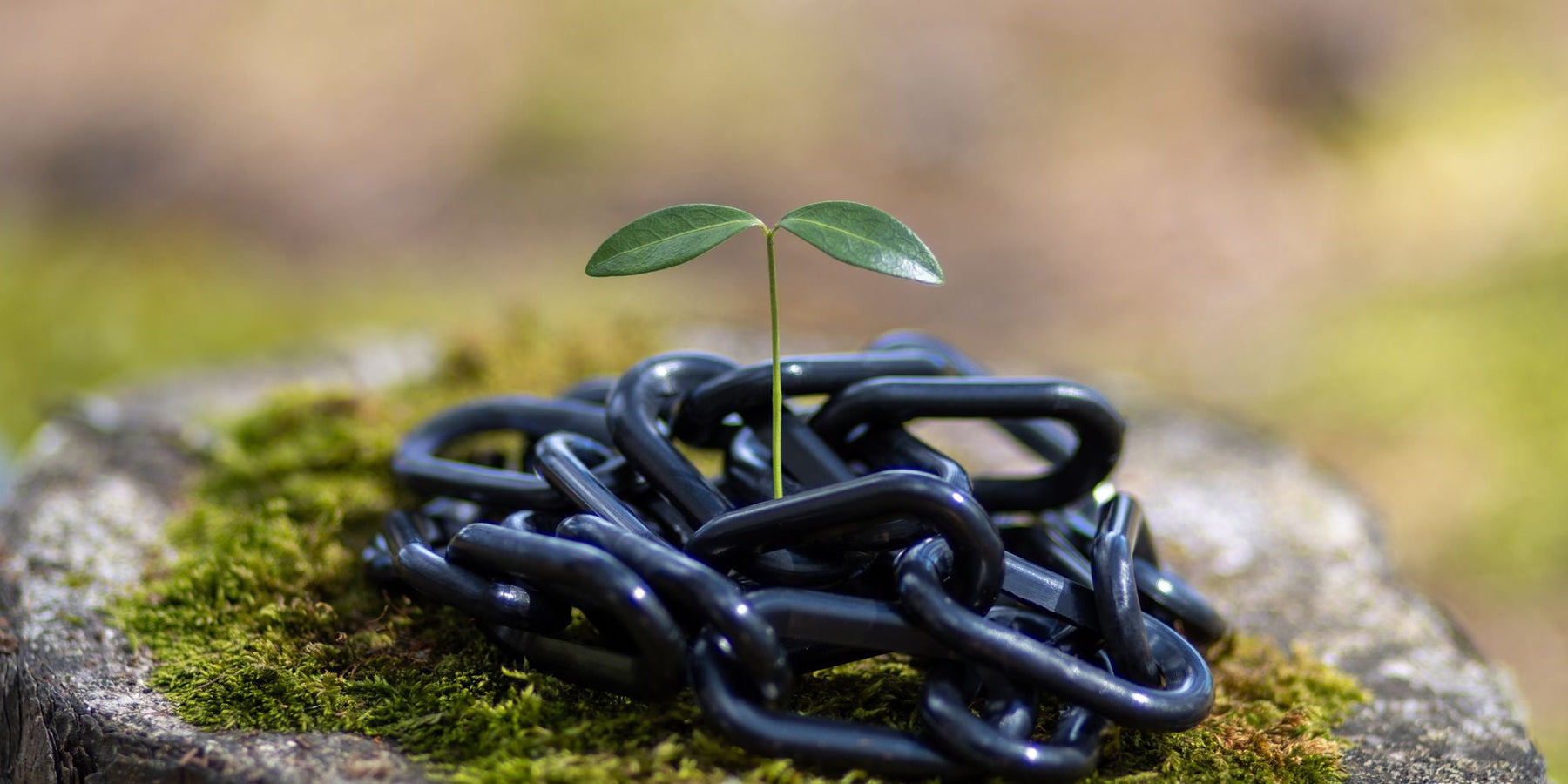 Sustainability in Action: How Mr. Chain Reduces Waste and Creates Eco-Friendly Safety Solutions