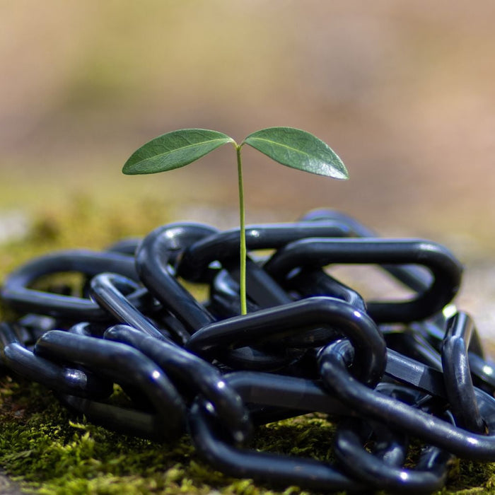 Sustainability in Action: How Mr. Chain Reduces Waste and Creates Eco-Friendly Safety Solutions